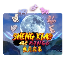 Sheng Xiao Bingo - TROPICANA77