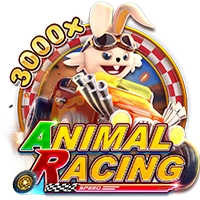 Facai : ANIMAL RACING - TROPICANA77