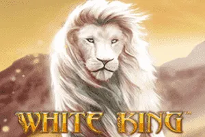 White King - TROPICANA77
