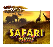 Joker123 : Safari Heat - TROPICANA77