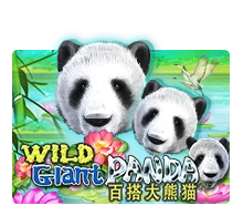Joker123 : Wild Giant Panda - TROPICANA77