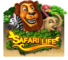 Joker123 : Safari Life - TROPICANA77