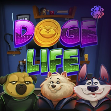 Doge Life - TROPICANA77