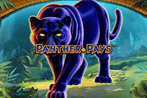 Panther Pays - TROPICANA77